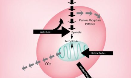 Le cancer et l’ Alzheimer sont possiblement le résultat d’un même  phénomène: l’inflammation.