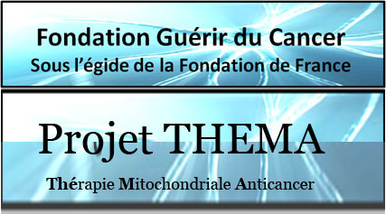 Projet THEMA