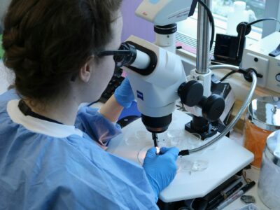 national-institute-of-allergy-and-infectious-diseases-cK0hjNSgnS4-unsplash